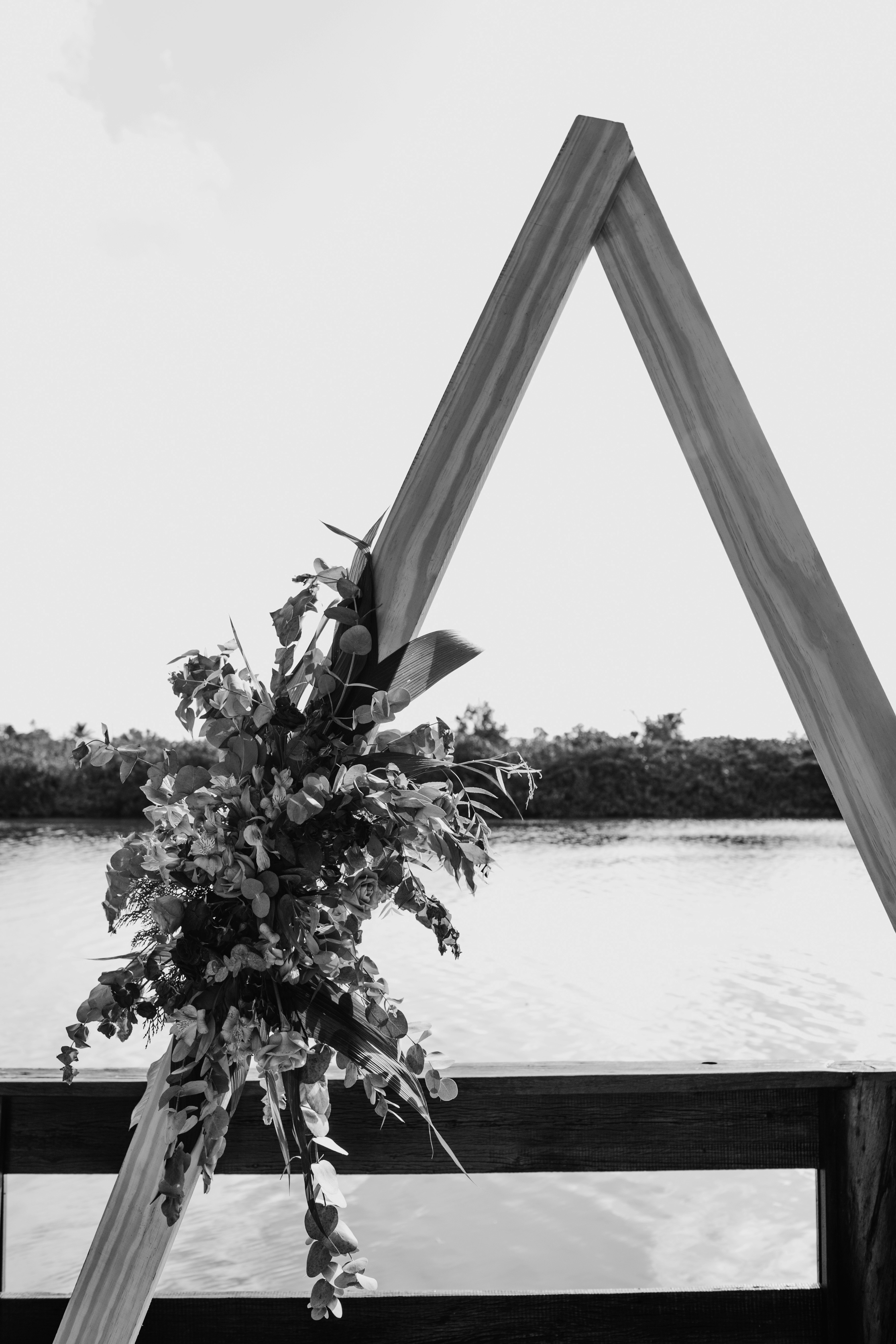 grayscale photo of trees near body of water